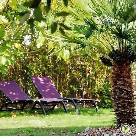 Localise - A80 - La Villa Blanche - Cote Jardin - Plain-Pied - Wifi Inclus - Draps Inclus - Animaux Bienvenue Guilvinec Exterior photo