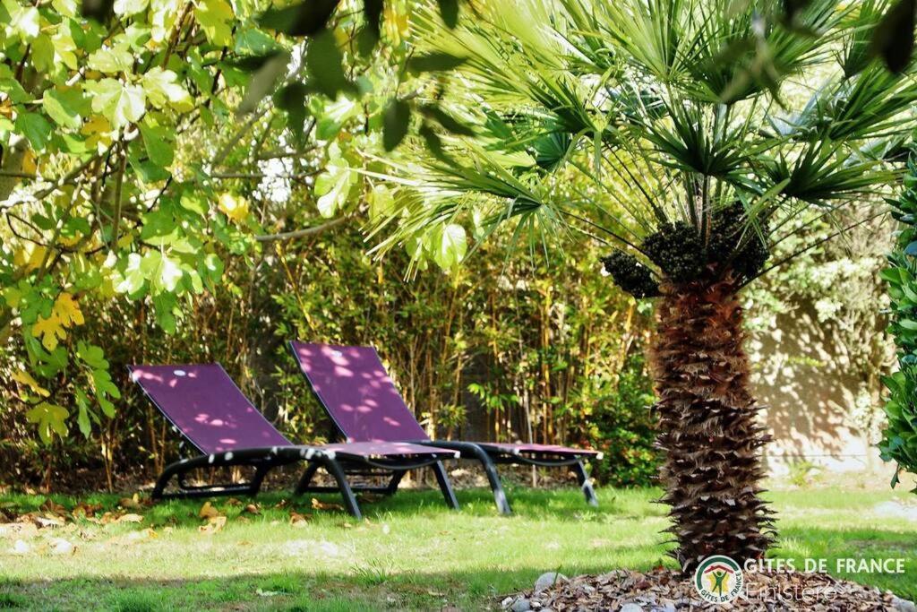 Localise - A80 - La Blanche - Cote Jardin - Plain-pied - Wifi Inclus - Draps Inclus - Animaux Bienvenue