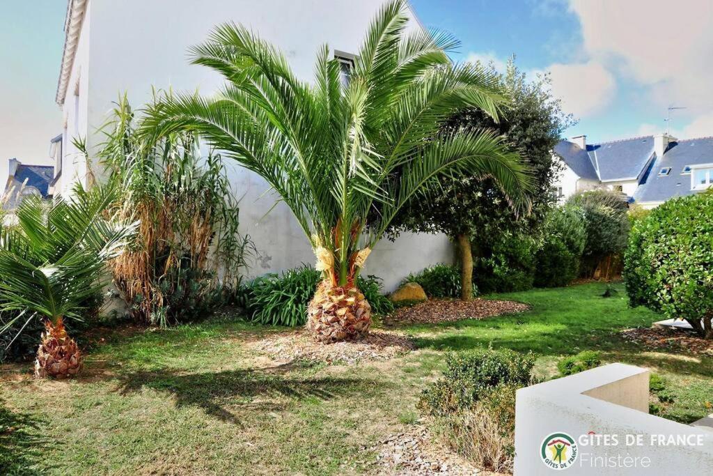 Localise - A80 - La Blanche - Cote Jardin - Plain-pied - Wifi Inclus - Draps Inclus - Animaux Bienvenue *